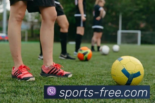 企业概况